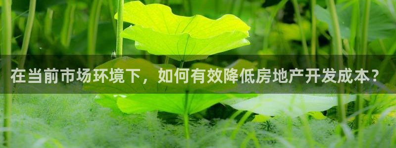 和记娱乐app官网登录：在当前市场环境下，如何有效降低房地产