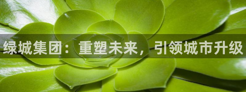 和记娱乐网官网：绿城集团：重塑未来，引领城市升级