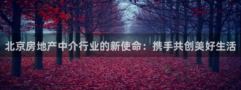 和记电讯3官网