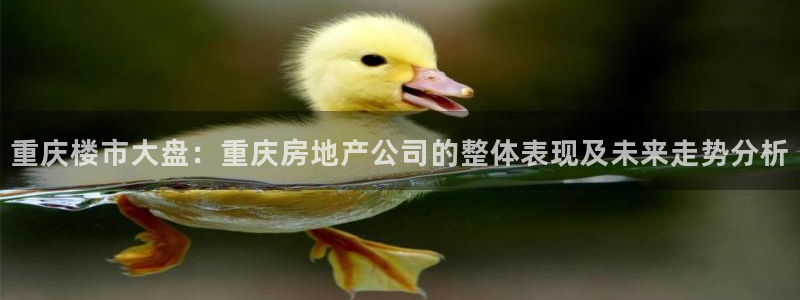 和记官网和记