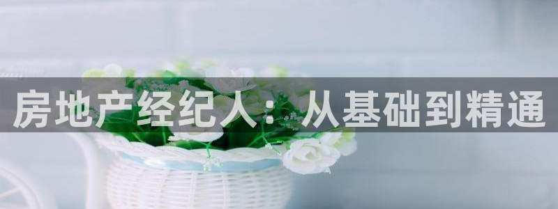 和记官网平台