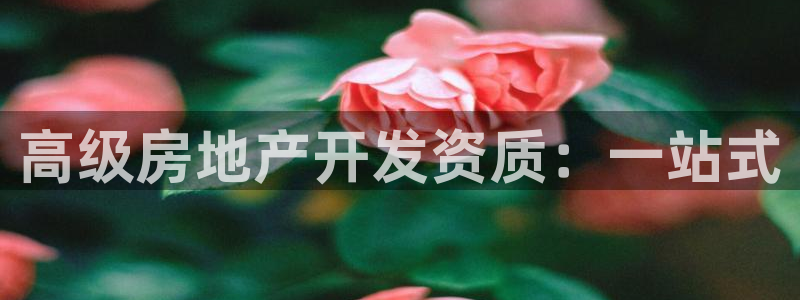香港和记通讯官网