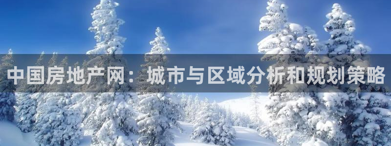 和记官网是一个什么平台：中国房地产网：城市与区域分析和规划策