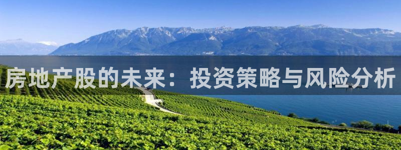 和记体育买球官网