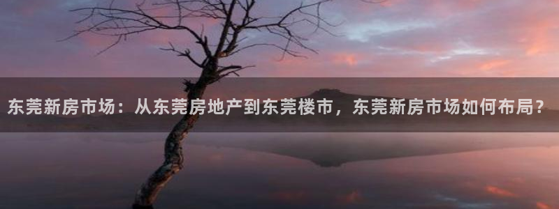 和记娱安全h88285官网：东莞新房市场：从东莞房地产到东莞