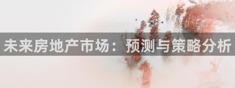 和记官网是一个什么平台：未来房地产市场：预测与策略分析