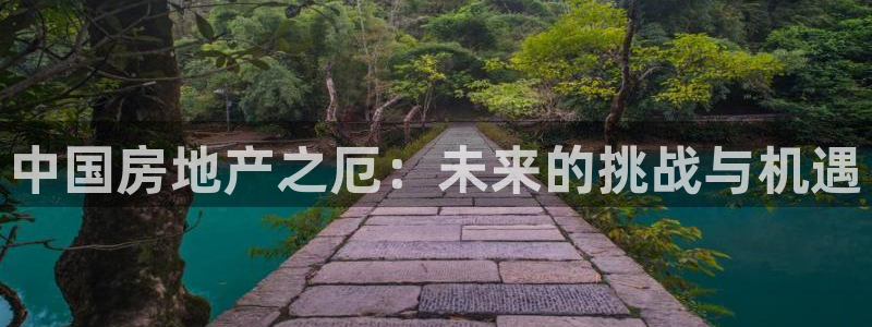 上海和记官网：中国房地产之厄：未来的挑战与机遇