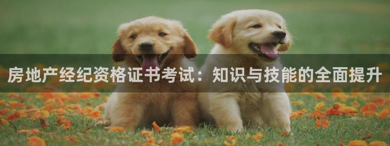 和记平台网站官网：房地产经纪资格证书考试：知识与技能的全面提