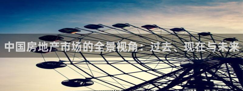 和记怡情官网入口：中国房地产市场的全景视角：过去、现在与未来