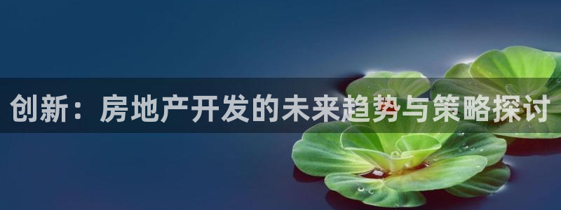 和记官网客户端：创新：房地产开发的未来趋势与策略探讨