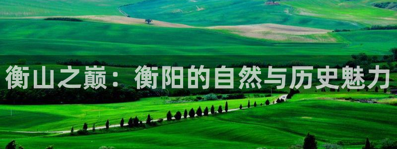 和记黄埔官网攻略：衡山之巅：衡阳的自然与历史魅力