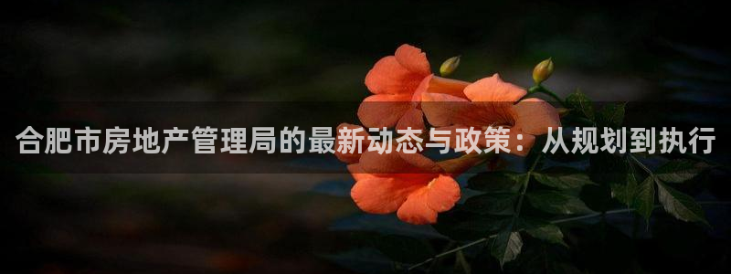 果博官网和记：合肥市房地产管理局的最新动态与政策：从规划到执