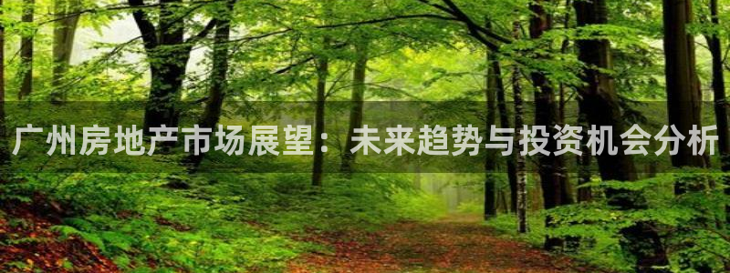 胡和记官网：广州房地产市场展望：未来趋势与投资机会分析