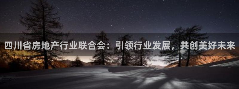 白云 和记黄埔官网电话：四川省房地产行业联合会：引领行业发展