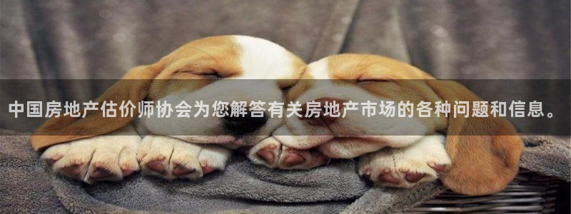 和记集团官网：中国房地产估价师协会为您解答有关房地产市场的各