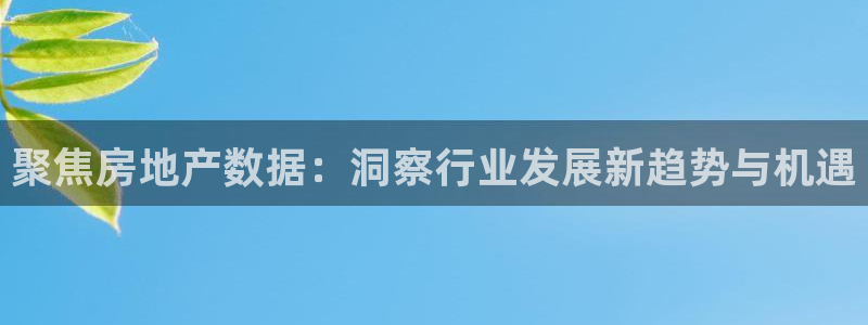 和记备用官网：聚焦房地产数据：洞察行业发展新趋势与机遇